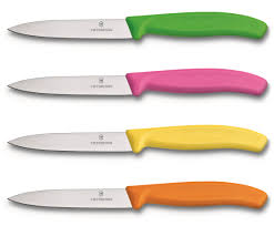 Victorinox Fibrox Paring Knife 10cm